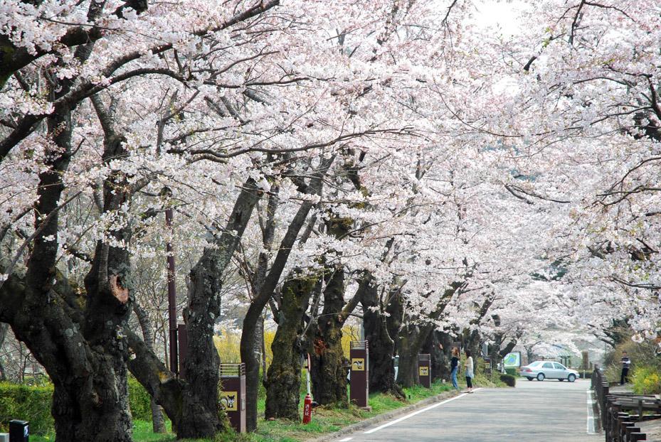 Kunugidaira Hotel Fukushima  Bagian luar foto