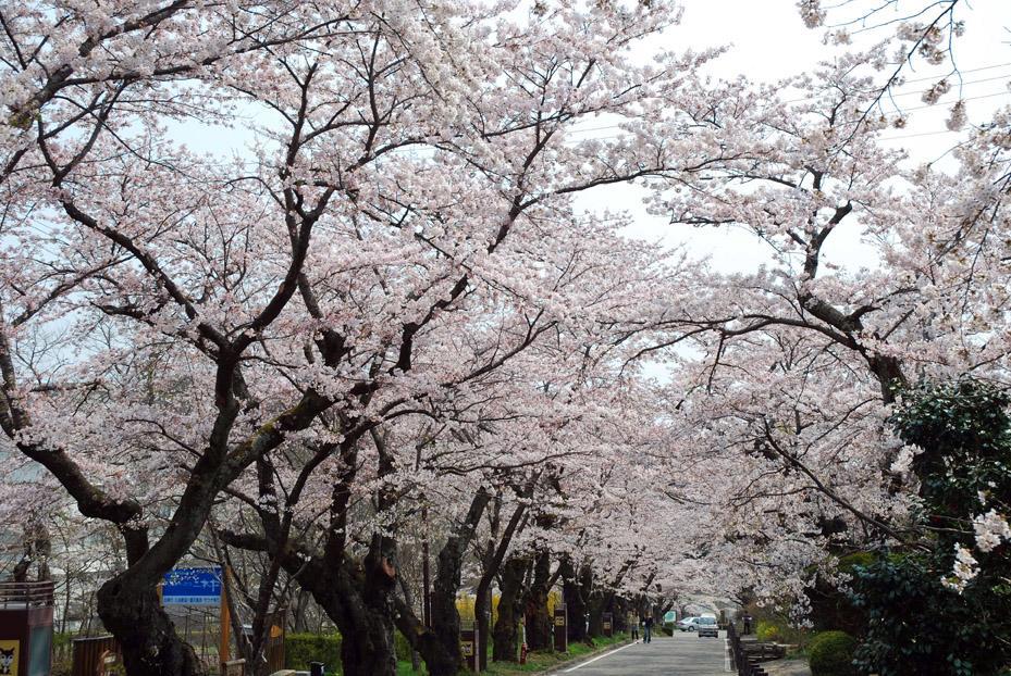 Kunugidaira Hotel Fukushima  Bagian luar foto